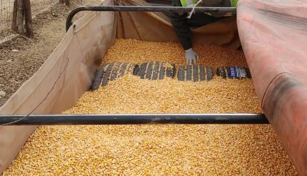 Encuentran más de cien neumáticos importados en un camión con maíz