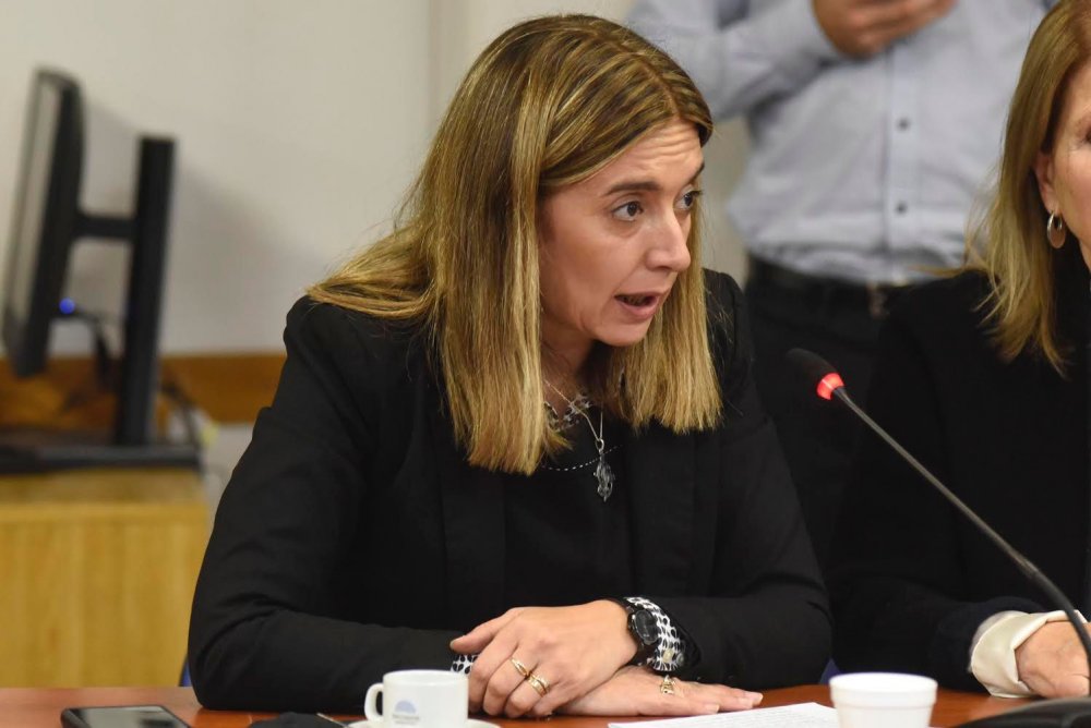 Tavela defendió el presupuesto universitario ante posibles recortes de partidas