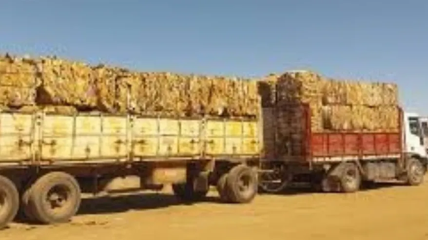 Casi 19 toneladas de cartón reinsertadas al circuito industrial