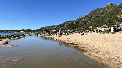 ¿Te animás a nadar en aguas frías?