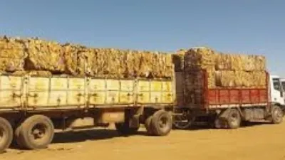 Casi 19 toneladas de cartón reinsertadas al circuito industrial