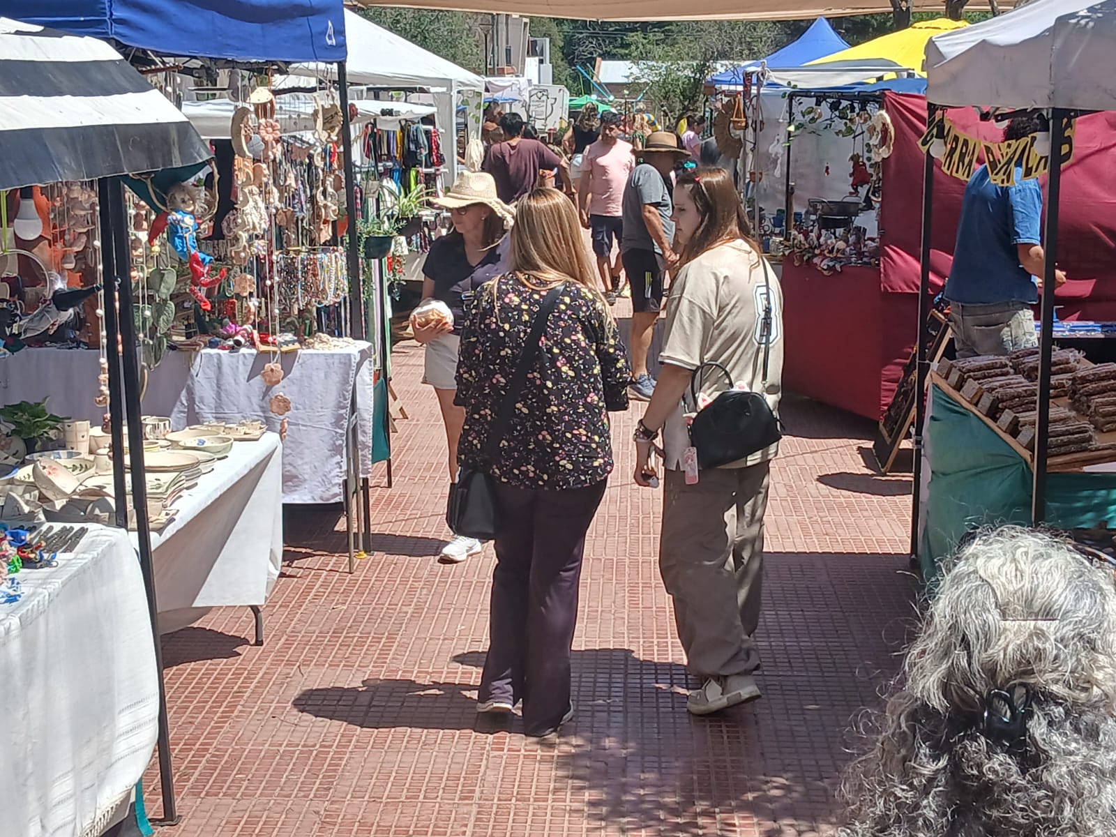 Carpintería vive la Fiesta Nacional de la Carreta y los 101 Chivos